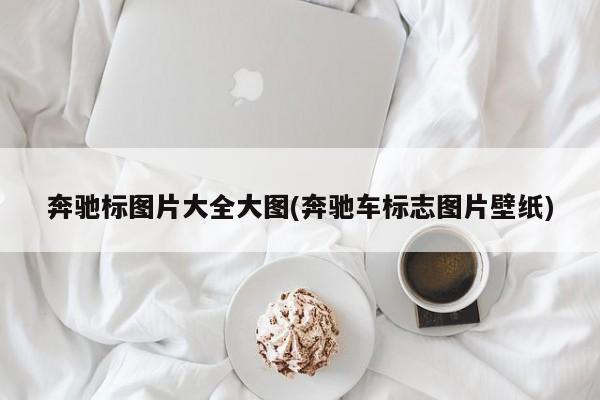 奔驰标图片大全大图(奔驰车标志图片壁纸)